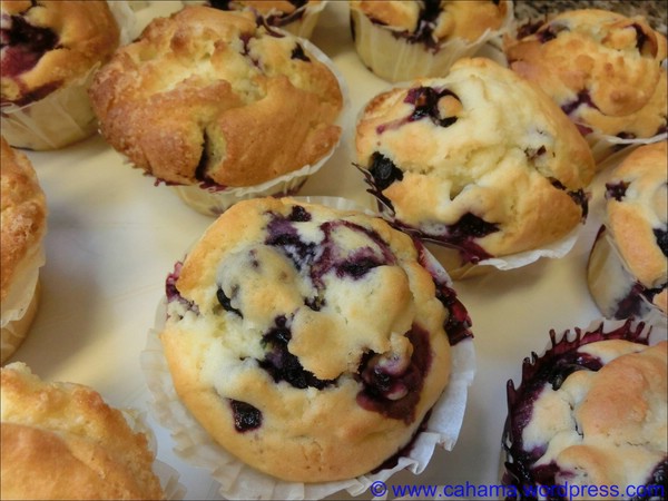Heidelbeer-Muffins | cahama